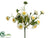 Calendula Bush - Cream Yellow - Pack of 24