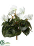 Silk Plants Direct Cyclamen Bush - Cream White - Pack of 12