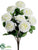 Camellia Bush - White - Pack of 12