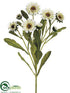 Silk Plants Direct Calendula Bush - White - Pack of 12