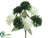 Carnation Bush - White Green - Pack of 24