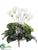 Cyclamen Bush - Cream Green - Pack of 6
