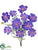 Cosmos Bush - Purple - Pack of 12