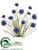 Cornflower Bush - Blue Royal - Pack of 12
