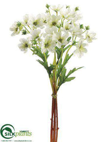 Cosmos Bundle - White - Pack of 12