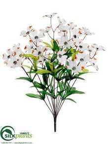 Dogwood Bush - Cream - Pack of 12