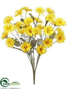 Daisy Bush - Yellow - Pack of 6