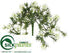 Silk Plants Direct Dorrit Bush - Cream - Pack of 12