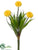 Silk Plants Direct Aster Daisy Bush - Cerise - Pack of 12