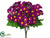 Daisy Bush - Violet - Pack of 12