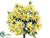 Wild Daisy Bush - Yellow - Pack of 12