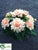 Dahlia Bush - Salmon - Pack of 12