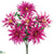 Daisy Bush - Orchid Two Tone - Pack of 12