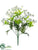 Daisy Bush - White - Pack of 24