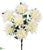 Dahlia Bush - Cream White - Pack of 12