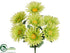 Silk Plants Direct Gerbera Daisy Bush - Green - Pack of 24