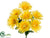 Gerbera Daisy Bush - Yellow - Pack of 24