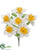 Daffodil Bush - Yellow White - Pack of 24