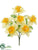 Daffodil Bush - Yellow Yellow - Pack of 24