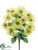 Daisy Bush - Yellow Two Tone - Pack of 36