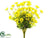 Daisy Bush - Yellow - Pack of 6