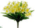 Daffodil Bush - Yellow - Pack of 12