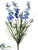 Delphinium Bush - Blue - Pack of 12