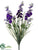 Delphinium Bush - Purple - Pack of 12