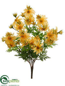 Daisy Bush - Yellow - Pack of 12