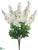 Delphinium Bush - Cream White - Pack of 12