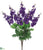Delphinium Bush - Purple - Pack of 12