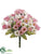 Mini Daisy Bush - Pink Cream - Pack of 24