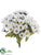 Mini Daisy Bush - White - Pack of 24