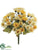 Mini Daisy Bush - Yellow Two Tone - Pack of 24