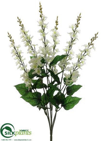 Delphinium Bush - White - Pack of 12