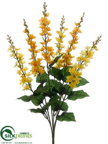 Delphinium Bush - Yellow Two Tone - Pack of 12