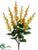 Delphinium Bush - Yellow Two Tone - Pack of 12