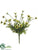 Daisy Bush - Green Two Tone - Pack of 24