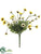 Daisy Bush - Yellow Two Tone - Pack of 24