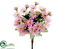 Daisy Bush - Pink - Pack of 12