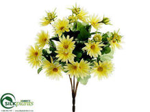 Daisy Bush - Yellow - Pack of 12