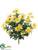 Daisy Bush - Yellow - Pack of 12