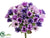 Mini Daisy Bush - Lavender Purple - Pack of 24