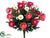 Aster Daisy Bush - Cerise White - Pack of 12