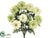 Dahlia Bush - Cream Green - Pack of 12
