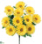 Gerbera Daisy Bush - Yellow - Pack of 12