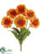 Gerbera Daisy Bush - Talisman - Pack of 12