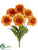 Gerbera Daisy Bush - Talisman - Pack of 12