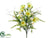 Daisy Bush - Lime - Pack of 12