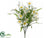 Daisy Bush - White - Pack of 12